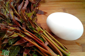 孕婦能吃春芽炒鵝蛋嗎？香椿炒鵝蛋孕婦能吃嗎？