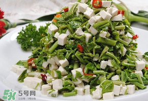 香椿可以助孕嗎？香椿有助孕的功效嗎？