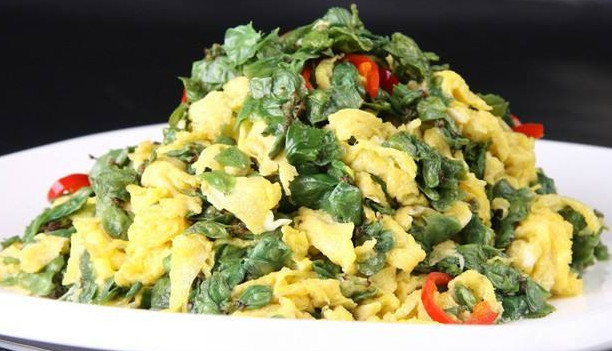 榆錢能炒雞蛋嗎？榆錢炒雞蛋怎么做