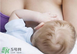 香椿會(huì)回奶嗎？吃香椿會(huì)回奶嗎？