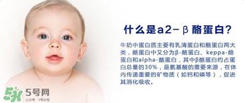 A2奶粉分幾種？A2奶粉有幾個(gè)種類？