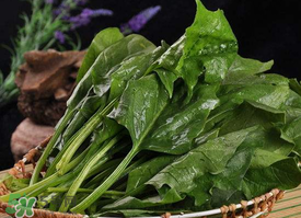 香椿和菠菜能一起吃嗎？香椿和菠菜能一起吃好嗎？