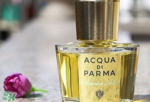 帕爾瑪之水是什么牌子？帕爾瑪之水是什么檔次？