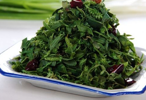 刺兒菜能吃嗎？刺兒菜可以吃嗎