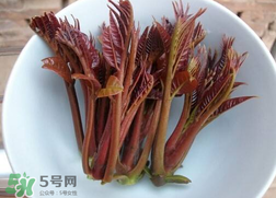 香椿和雞肉可同吃嗎？香椿和雞肉能一起吃嗎？