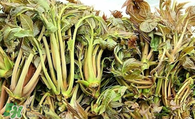 香椿和平菇能一起吃嗎？香椿和香菇能一起吃嗎？