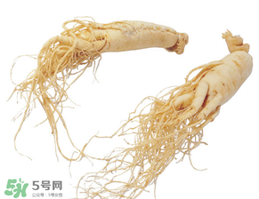 孕婦能吃人參嗎？孕婦可以吃人參嗎？