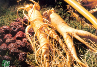 孕婦能吃人參嗎？孕婦可以吃人參嗎？