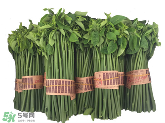 樹仔菜有毒嗎？樹仔菜有沒有毒？