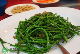 樹仔菜有毒嗎？樹仔菜有沒有毒？