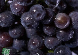 歐緹麗和雅漾哪個好？歐緹麗和雅漾哪個高端？