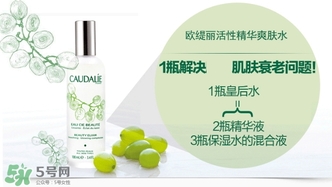 歐緹麗和悅木之源哪個(gè)好？歐緹麗皇后水和悅木之源菌菇水