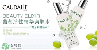 歐緹麗和悅木之源哪個(gè)好？歐緹麗皇后水和悅木之源菌菇水