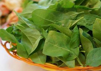 枸杞葉能炒著吃嗎？枸杞葉能涼拌嗎