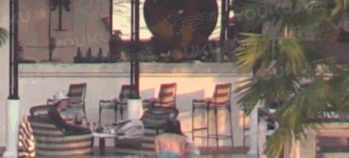 白百合出軌了嗎？白百合陳羽凡離婚了嗎？