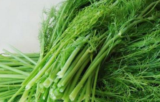 茴香苗怎么吃？茴香苗的吃法
