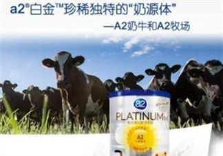 A2奶粉分白金和鉑金嗎？A2奶粉白金鉑金有區(qū)別嗎？