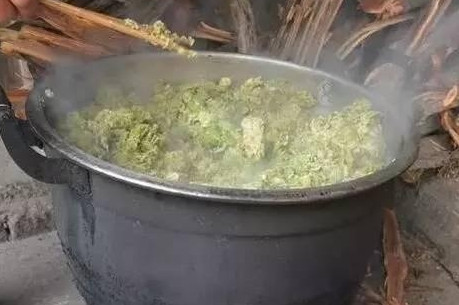 榆錢怎么蒸？蒸榆錢的做法