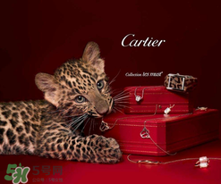 卡地亞是什么材質(zhì)？卡地亞是金的嗎？