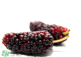 桑葚可以冷凍嗎？桑葚能冷凍保存嗎？