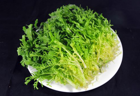 孕婦能吃苦苣嗎？孕婦可以吃苦苣嗎