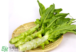 萵筍能放冰箱嗎？萵筍放冰箱能吃嗎？