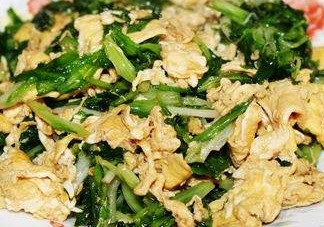 苦苣能和雞蛋一起吃嗎？苦苣能炒雞蛋嗎