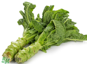 萵筍為什么會苦？萵筍苦能吃嗎？