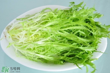 苦苣根哪里有賣？苦苣根茶在那里買的到