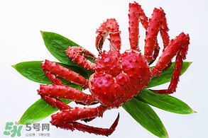 香椿能和海鮮一起吃嗎？香椿和海鮮能一起吃嗎？