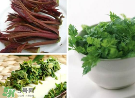 香椿和香菜能一起吃嗎？香椿和香菜怎么做？