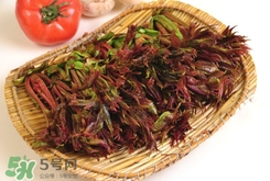 香椿葉能吃嗎？香椿葉孕婦能吃嗎？