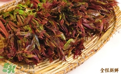 香椿葉能吃嗎？香椿葉孕婦能吃嗎？