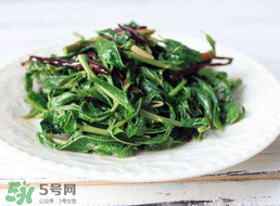 香椿和芹菜能一起吃嗎？香椿可以和芹菜同吃嗎？