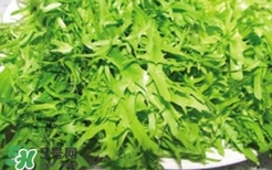痛風(fēng)能吃苦菊嗎？苦菊痛風(fēng)人可以吃嗎