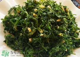 薺菜和香椿能一起吃嗎？薺菜和香椿一起吃好嗎？