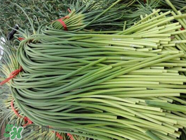 蒜苔可以和西紅柿一起吃嗎？蒜苔和西紅柿能同吃嗎？