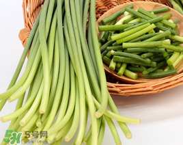 蒜苔能放在冰箱里嗎？蒜苔能在冰箱放幾天？