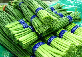 蒜苔能放在冰箱里嗎？蒜苔能在冰箱放幾天？