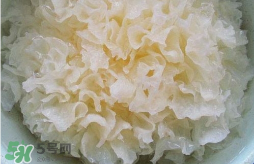 苦菊能和木耳一起吃嗎？苦菊能和黑木耳一起吃嗎