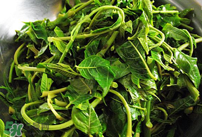 香椿和薄荷能一起吃嗎？香椿和薄荷一起吃會中毒嗎？