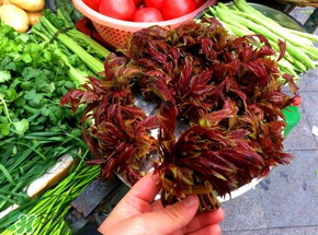 香椿和豬肉能一起吃嗎？香椿豬肉餃子餡兒的做法