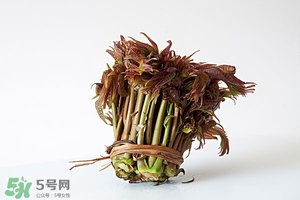 香椿樹什么時(shí)候發(fā)芽？香椿樹什么時(shí)候種植