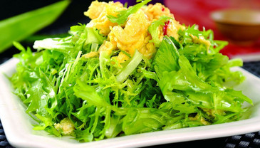 苦菊能和雞蛋一起吃嗎？苦菊可以和雞蛋一起吃嗎