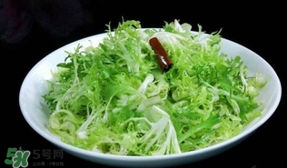 苦菊吃多了好嗎？苦菊吃多了好不