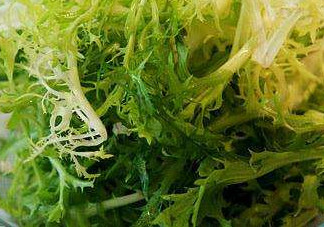 痛風(fēng)能吃苦菊嗎？苦菊痛風(fēng)人可以吃嗎