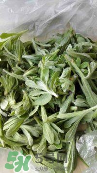 鼠曲草的功效與作用 鼠曲草怎么吃 鼠曲草的功效與作用 鼠曲草怎么吃