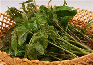 香椿葉怎么吃？香椿葉的吃法