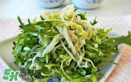 苦菊用不用焯水？涼拌苦菊用開水焯水嗎