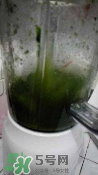 鼠曲草的功效與作用 鼠曲草怎么吃 鼠曲草的功效與作用 鼠曲草怎么吃